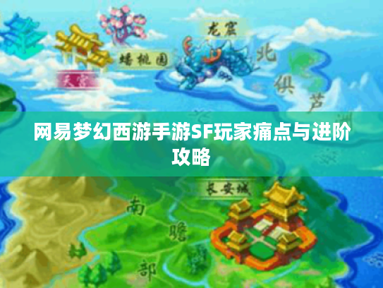 网易梦幻西游手游SF玩家痛点与进阶攻略