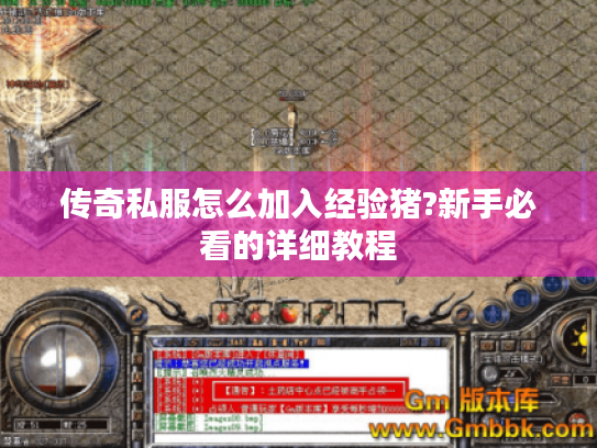 传奇私服怎么加入经验猪?新手必看的详细教程