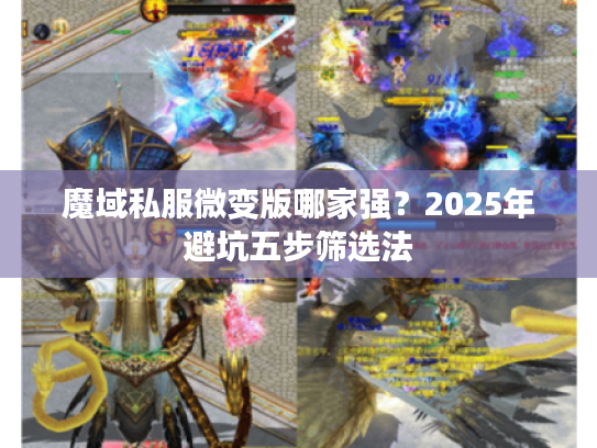 魔域私服微变版哪家强？2025年避坑五步筛选法