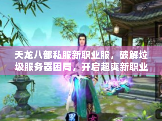 天龙八部私服新职业服，破解垃圾服务器困局，开启超爽新职业之旅！