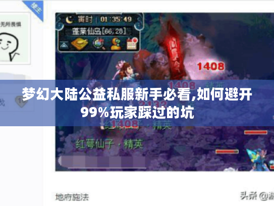 梦幻大陆公益私服新手必看,如何避开99%玩家踩过的坑
