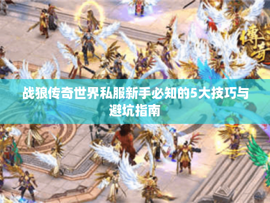战狼传奇世界私服新手必知的5大技巧与避坑指南