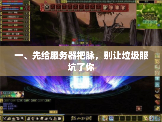 一、先给服务器把脉，别让垃圾服坑了你