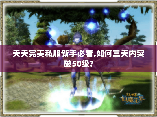 天天完美私服新手必看,如何三天内突破50级?