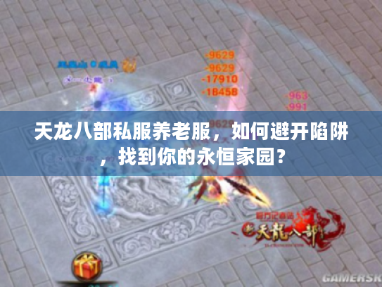 天龙八部私服养老服，如何避开陷阱，找到你的永恒家园？