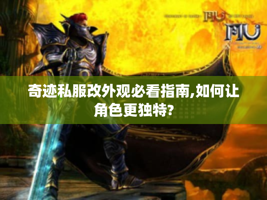 奇迹私服改外观必看指南,如何让角色更独特?