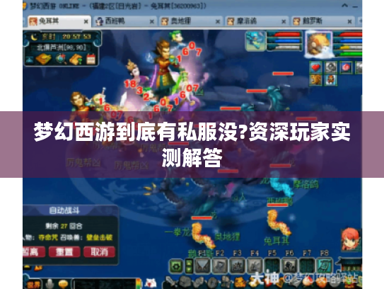 梦幻西游到底有私服没?资深玩家实测解答