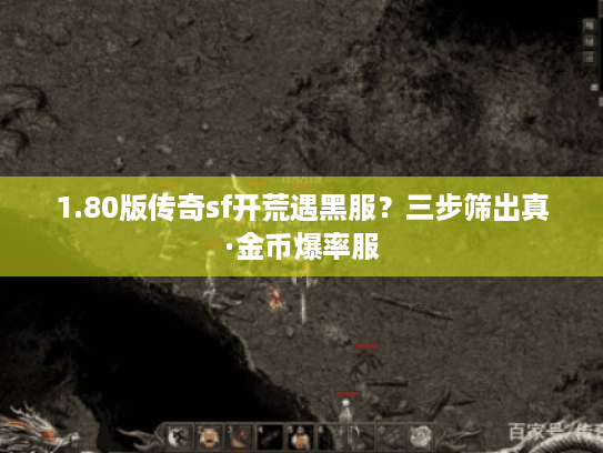 1.80版传奇sf开荒遇黑服？三步筛出真·金币爆率服