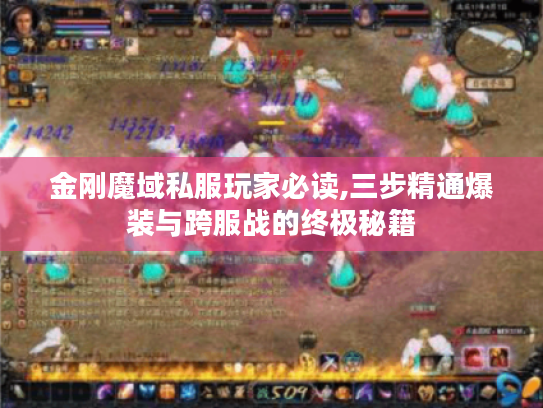 金刚魔域私服玩家必读,三步精通爆装与跨服战的终极秘籍