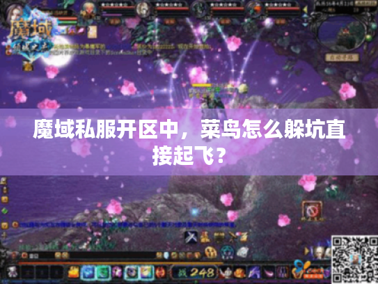 魔域私服开区中,菜鸟怎么躲坑直接起飞? 魔域私服开区中,菜鸟怎么躲坑直接起飞?