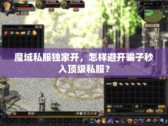 魔域私服独家开，怎样避开骗子秒入顶级私服？