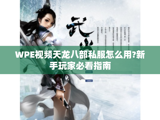 WPE视频天龙八部私服怎么用?新手玩家必看指南