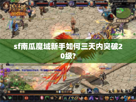 sf南瓜魔域新手如何三天内突破20级?