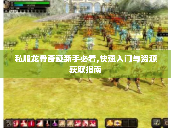 私服龙骨奇迹新手必看,快速入门与资源获取指南