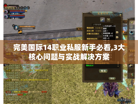 完美国际14职业私服新手必看,3大核心问题与实战解决方案
