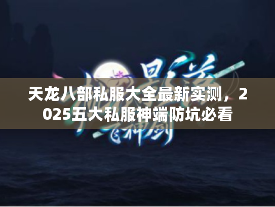 天龙八部私服大全最新实测，2025五大私服神端防坑必看
