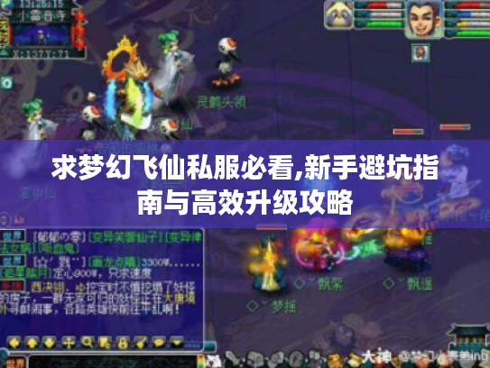 求梦幻飞仙私服必看,新手避坑指南与高效升级攻略