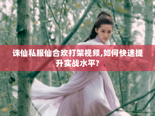 诛仙私服仙合欢打架视频,如何快速提升实战水平?