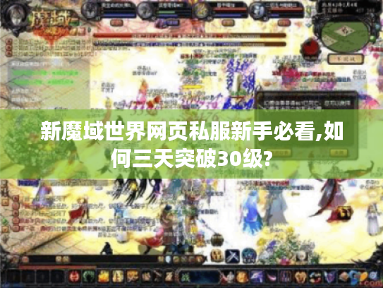 新魔域世界网页私服新手必看,如何三天突破30级?