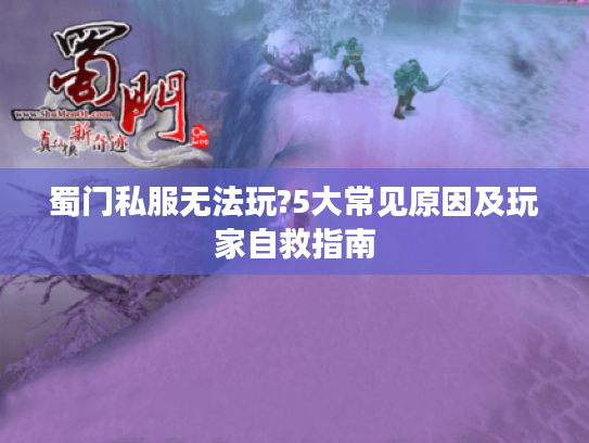 蜀门私服无法玩?5大常见原因及玩家自救指南