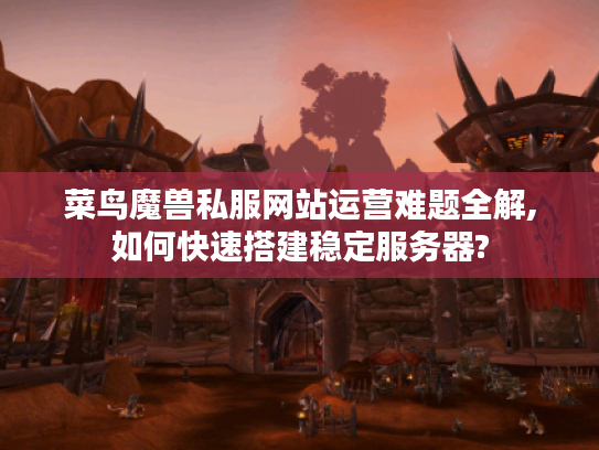 菜鸟魔兽私服网站运营难题全解,如何快速搭建稳定服务器?