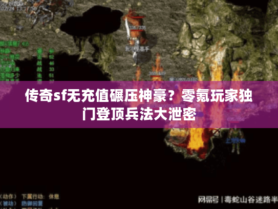 传奇sf无充值碾压神豪？零氪玩家独门登顶兵法大泄密