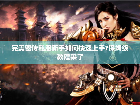 完美密传私服新手如何快速上手?保姆级教程来了 完美密传私服新手如何快速上手?保姆级教程来了