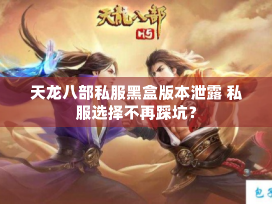天龙八部私服黑盒版本泄露 私服选择不再踩坑？