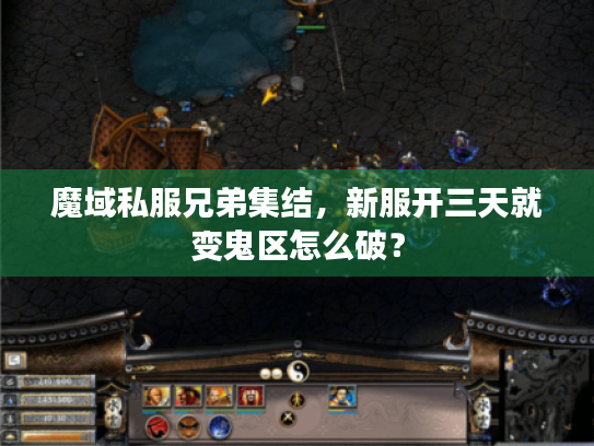 魔域私服兄弟集结，新服开三天就变鬼区怎么破？