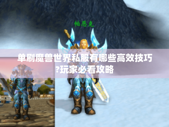 单刷魔兽世界私服有哪些高效技巧?玩家必看攻略