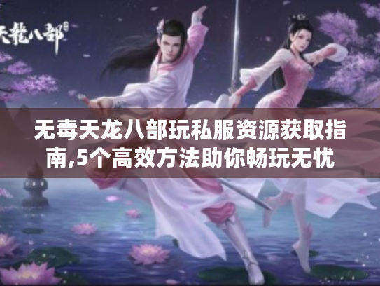 无毒天龙八部玩私服资源获取指南,5个高效方法助你畅玩无忧