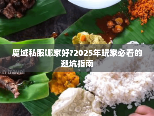 魔域私服哪家好?2025年玩家必看的避坑指南