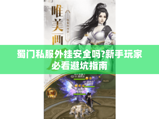 蜀门私服外挂安全吗?新手玩家必看避坑指南