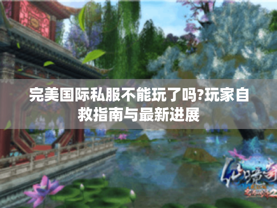 完美国际私服不能玩了吗?玩家自救指南与最新进展