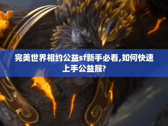 完美世界相约公益sf新手必看,如何快速上手公益服? 完美世界相约公益sf新手必看,如何快速上手公益服?