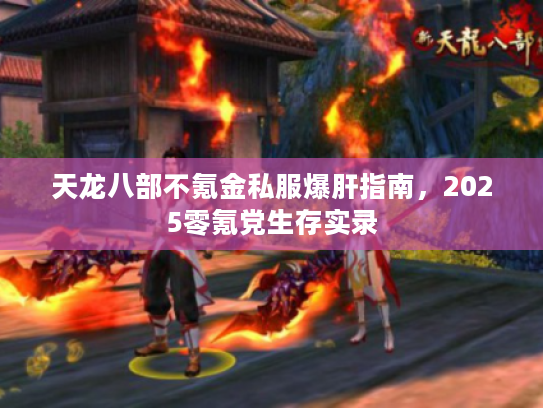 天龙八部不氪金私服爆肝指南，2025零氪党生存实录