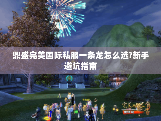 鼎盛完美国际私服一条龙怎么选?新手避坑指南