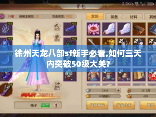 徐州天龙八部sf新手必看,如何三天内突破50级大关?