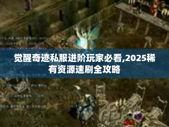 觉醒奇迹私服进阶玩家必看,2025稀有资源速刷全攻略