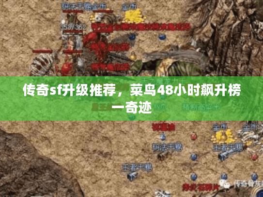 传奇sf升级推荐，菜鸟48小时飙升榜一奇迹