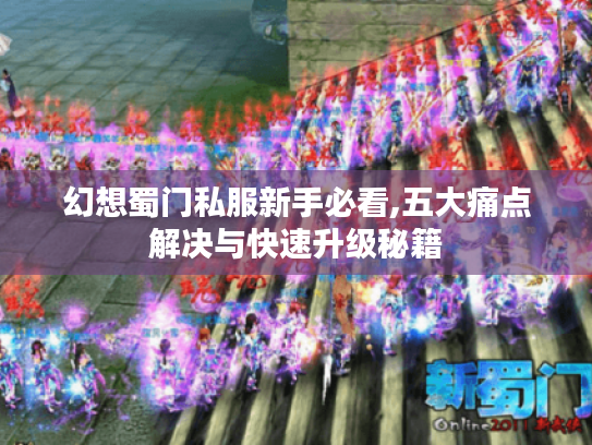 幻想蜀门私服新手必看,五大痛点解决与快速升级秘籍