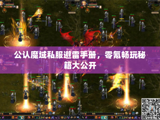 公认魔域私服避雷手册，零氪畅玩秘籍大公开