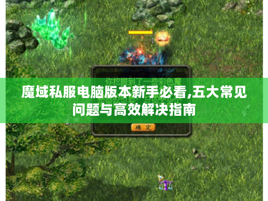 魔域私服电脑版本新手必看,五大常见问题与高效解决指南
