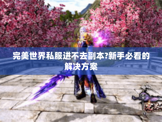 完美世界私服进不去副本?新手必看的解决方案