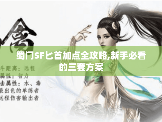 蜀门SF匕首加点全攻略,新手必看的三套方案