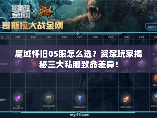 魔域怀旧05服怎么选？资深玩家揭秘三大私服致命差异！
