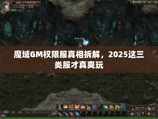 魔域GM权限服真相拆解，2025这三类服才真爽玩