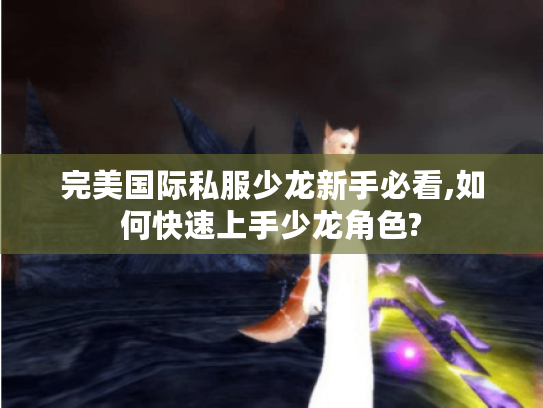 完美国际私服少龙新手必看,如何快速上手少龙角色?