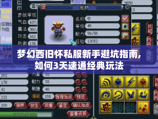 梦幻西旧怀私服新手避坑指南,如何3天速通经典玩法