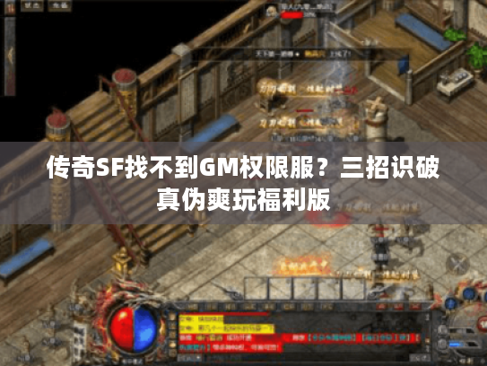 传奇SF找不到GM权限服？三招识破真伪爽玩福利版
